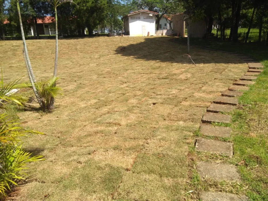 Foto 4:  — Gramas Área Verde